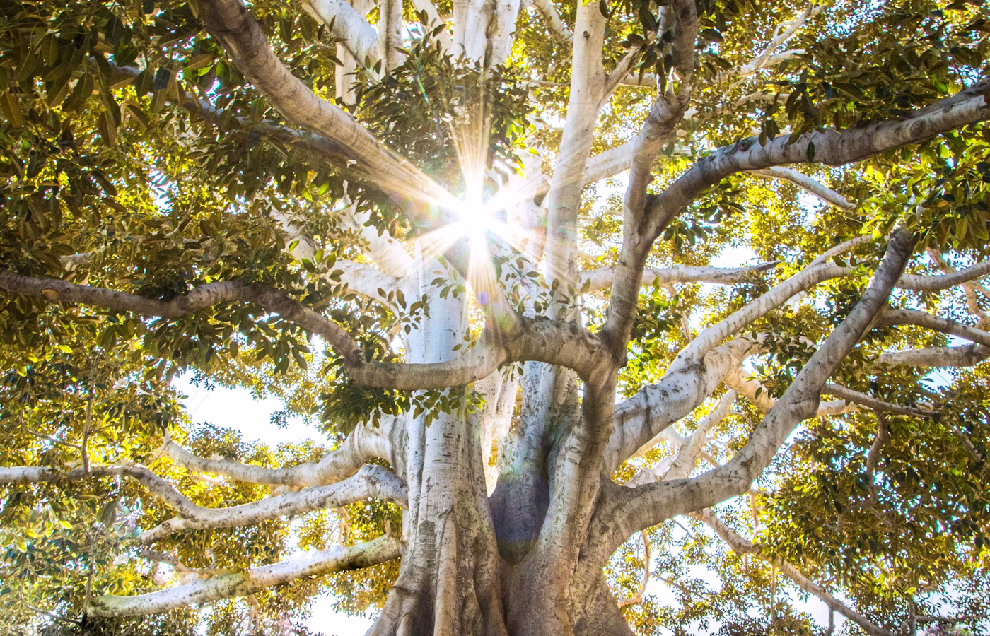 Личные границы для пары